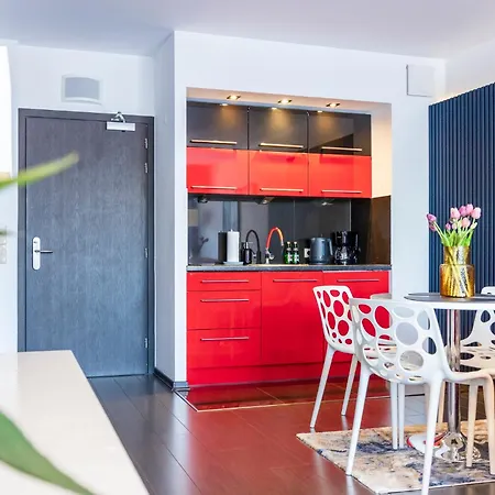 Diva Surfingbird 코워브제크